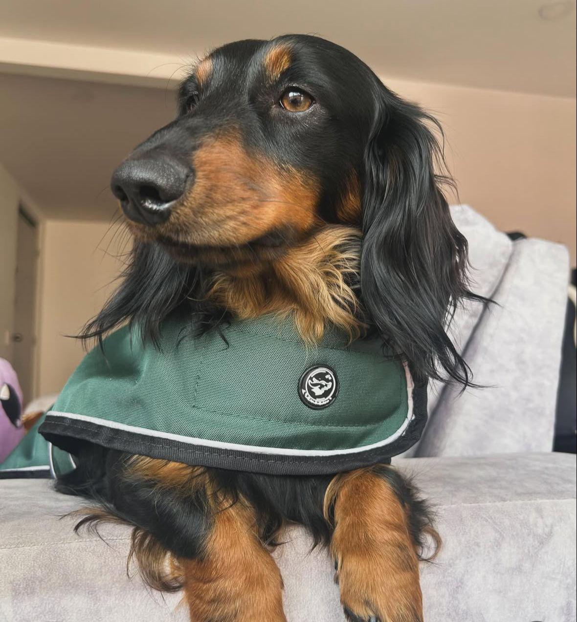 Salchiabrigos - Abrigos impermeables Rewoow®