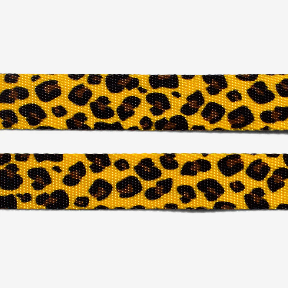 Collar Honey