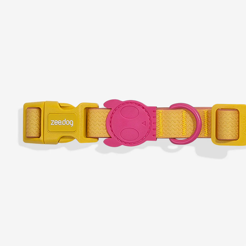 Collar Neopro Lyra