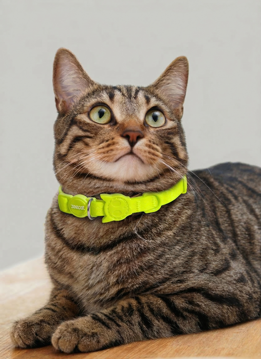 Collar Neopro Lime (Gato)