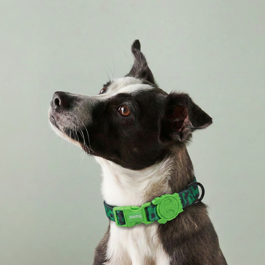 Collar Error 410
