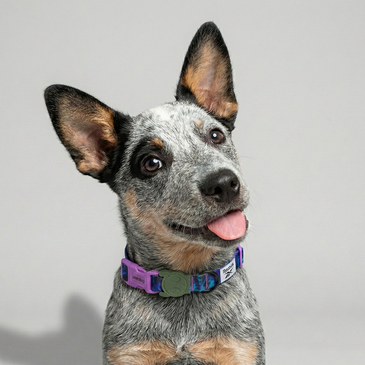 Collar Trekk (Reebok)