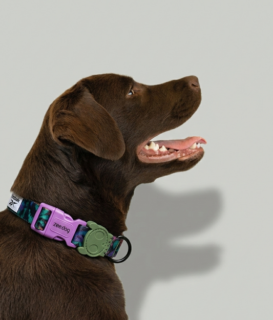 Collar Trekk (Reebok)