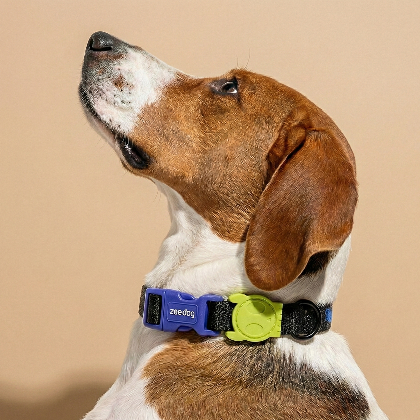 Collar Nox