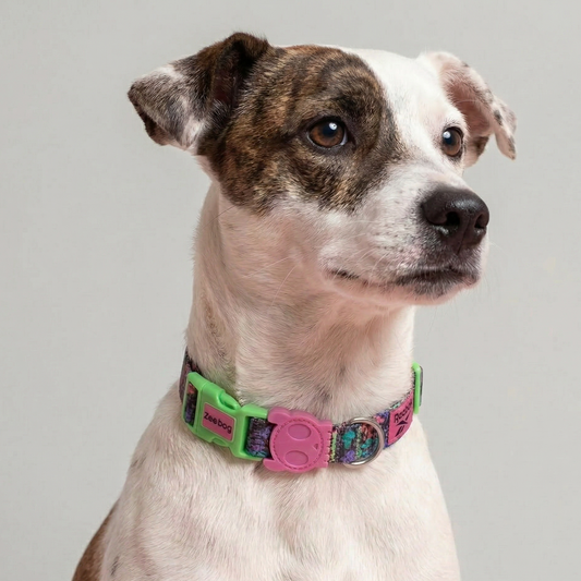 Collar Aerobic (Reebok)