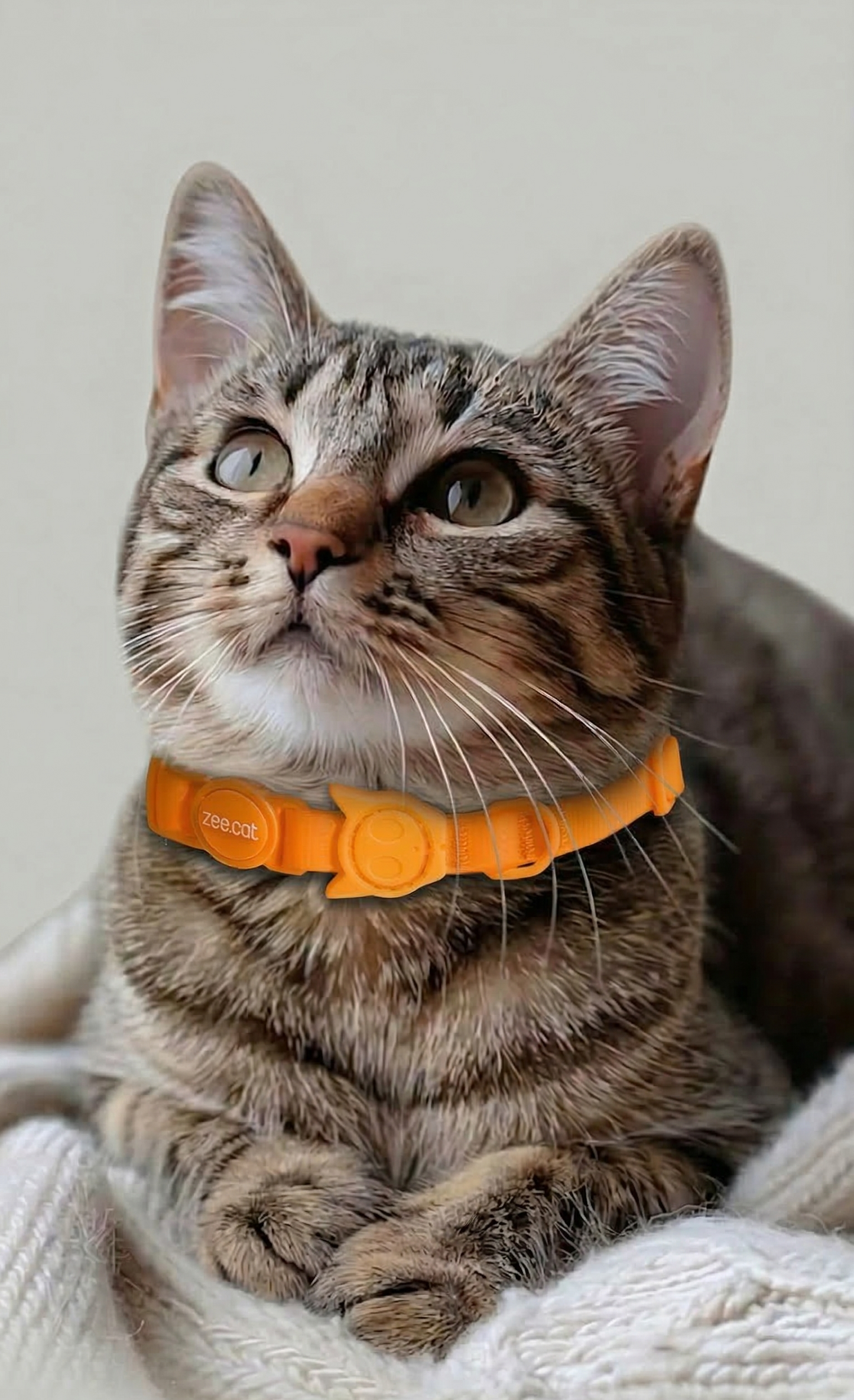 Collar Neopro Tangerine (Gato)