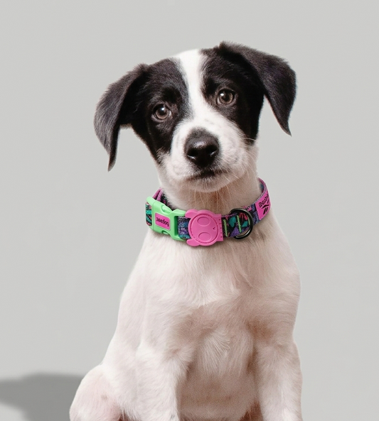 Collar Aerobic (Reebok)