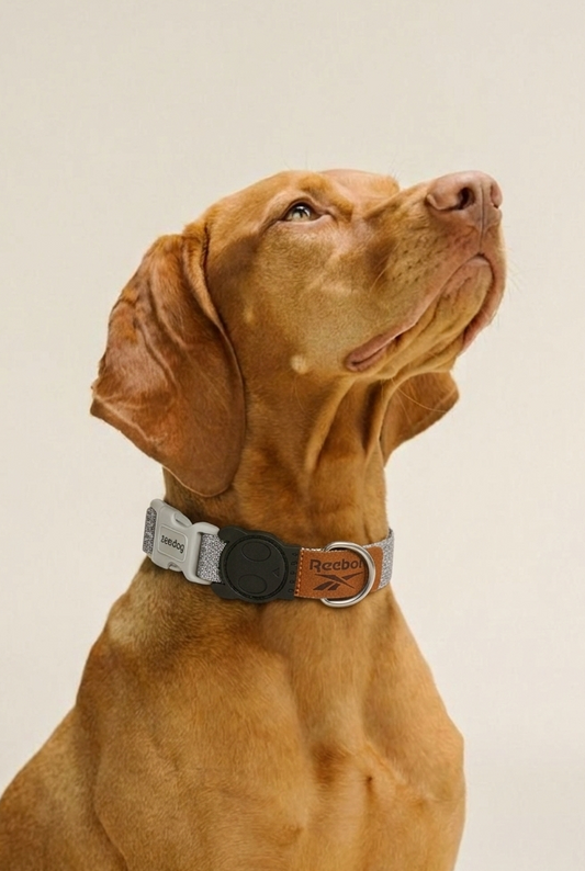 Collar Suede (Reebok)