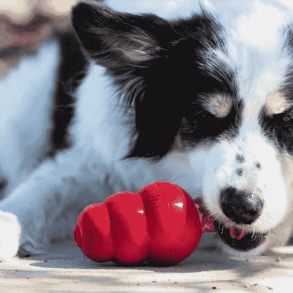 Juguete - Classic (Kong)