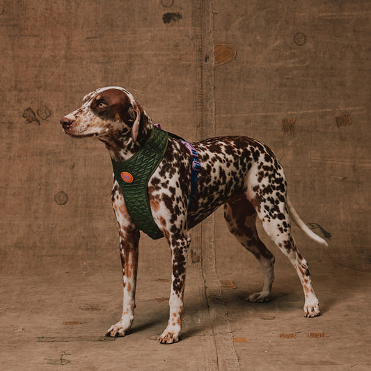 Arnés - Trekk (Reebok)