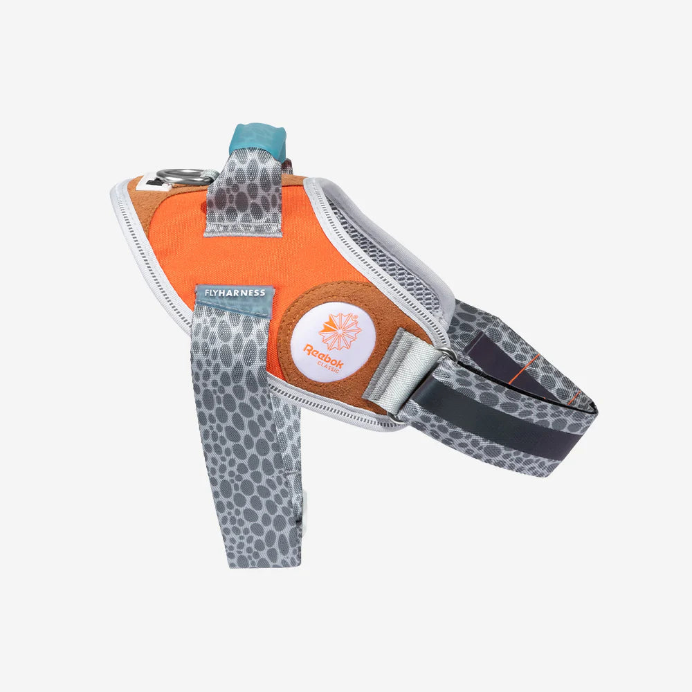 Flyharness Suede (Rebook)