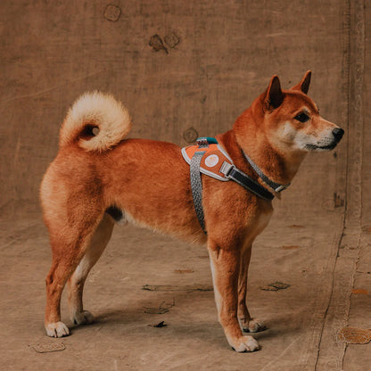 Flyharness Suede (Rebook)