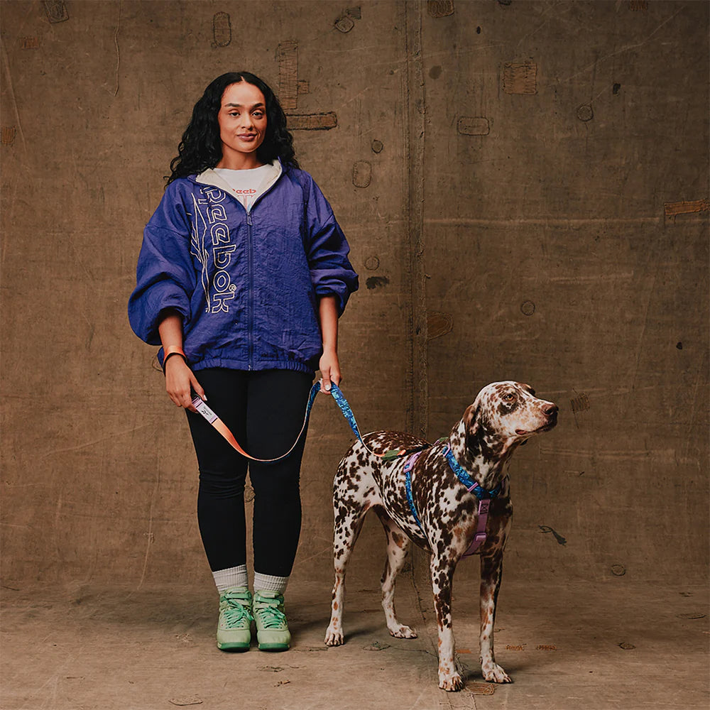 Arnés en H - Trekk (Reebok)