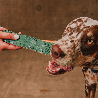 Juguete - Twig Reebok