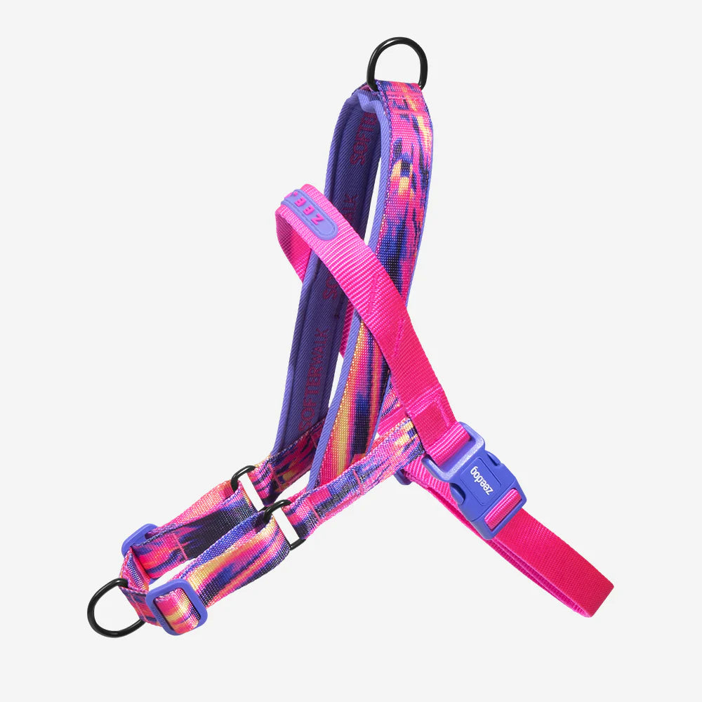 SofterWalk - Glitch error #500